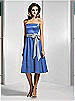 Dessy Bridesmaid Style 2506
