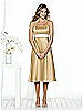 After Six Bridesmaid Style 6501