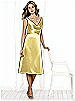 After Six Bridesmaid Style 6513