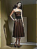 Dessy Bridesmaid Style 2717