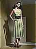 Dessy Bridesmaid Style 2717