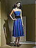 Dessy Bridesmaid Style 2717