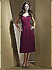 Dessy Bridesmaid Style 2720
