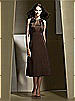 Dessy Bridesmaid Style 2727