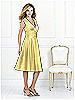 After Six Bridesmaid Style 6517