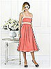 After Six Bridesmaid Style 6518