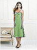 After Six Bridesmaid Style 6519