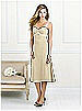 After Six Bridesmaid Style 6519