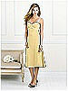 After Six Bridesmaid Style 6519