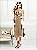 After Six Bridesmaid Style 6519
