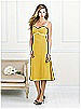 After Six Bridesmaid Style 6519
