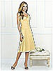 After Six Bridesmaid Style 6521