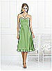 After Six Bridesmaid Style 6524