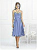 After Six Bridesmaid Style 6524