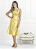 After Six Bridesmaid Style 6529