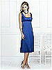 After Six Bridesmaid Style 6531