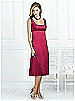 After Six Bridesmaid Style 6531
