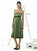 Alfred Sung Maternity Dress Style M415