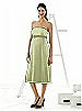 Alfred Sung Maternity Dress Style M415