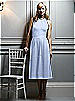 After Six Bridesmaid Style 6538