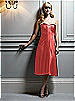 After Six Bridesmaid Style 6543