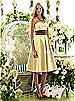 After Six Bridesmaid Style 6553