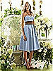 After Six Bridesmaid Style 6553
