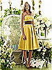 After Six Bridesmaid Style 6553