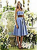 After Six Bridesmaid Style 6553
