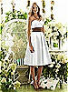 After Six Bridesmaid Style 6553