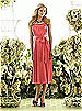After Six Bridesmaid Style 6559
