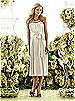 After Six Bridesmaid Style 6559