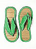 Iridescent Taffeta Flip Flops