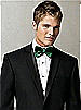 Iridescent Taffeta Bow Tie