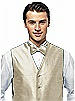 Silk Shantung Bow Tie