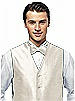 Silk Shantung Bow Tie