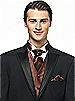 Iridescent Taffeta Cravat