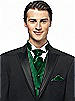 Iridescent Taffeta Cravat