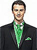 Iridescent Taffeta Cravat
