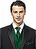 Iridescent Taffeta Pocket Square