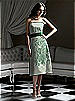 Dessy Bridesmaid Style 2752IV