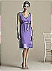 After Six Bridesmaid Style 6581