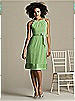 After Six Bridesmaid Style 6579