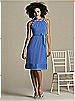 After Six Bridesmaid Style 6579