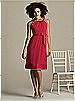 After Six Bridesmaid Style 6579