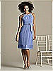 After Six Bridesmaid Style 6579