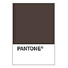 PANTONE WEDDING Swatch Cards