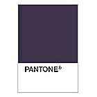 PANTONE WEDDING Swatch Cards