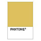 PANTONE WEDDING Swatch Cards