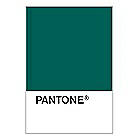 PANTONE WEDDING Swatch Cards